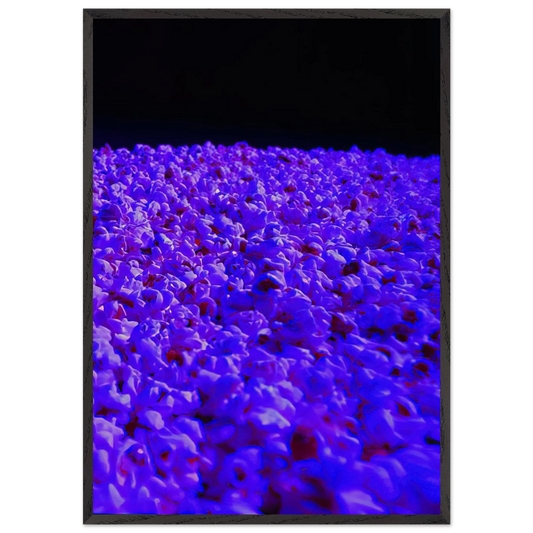 Moon Light - 1995 - Lygia Pape 70x100 cm / 28x40 inches Framed Art Print – Black Wooden Frame