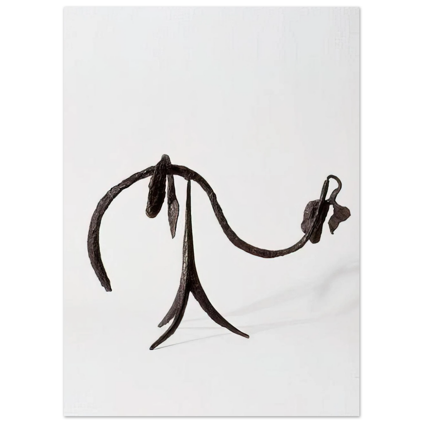 Alexander Calder - THE VINE 1944 Fine Art Poster