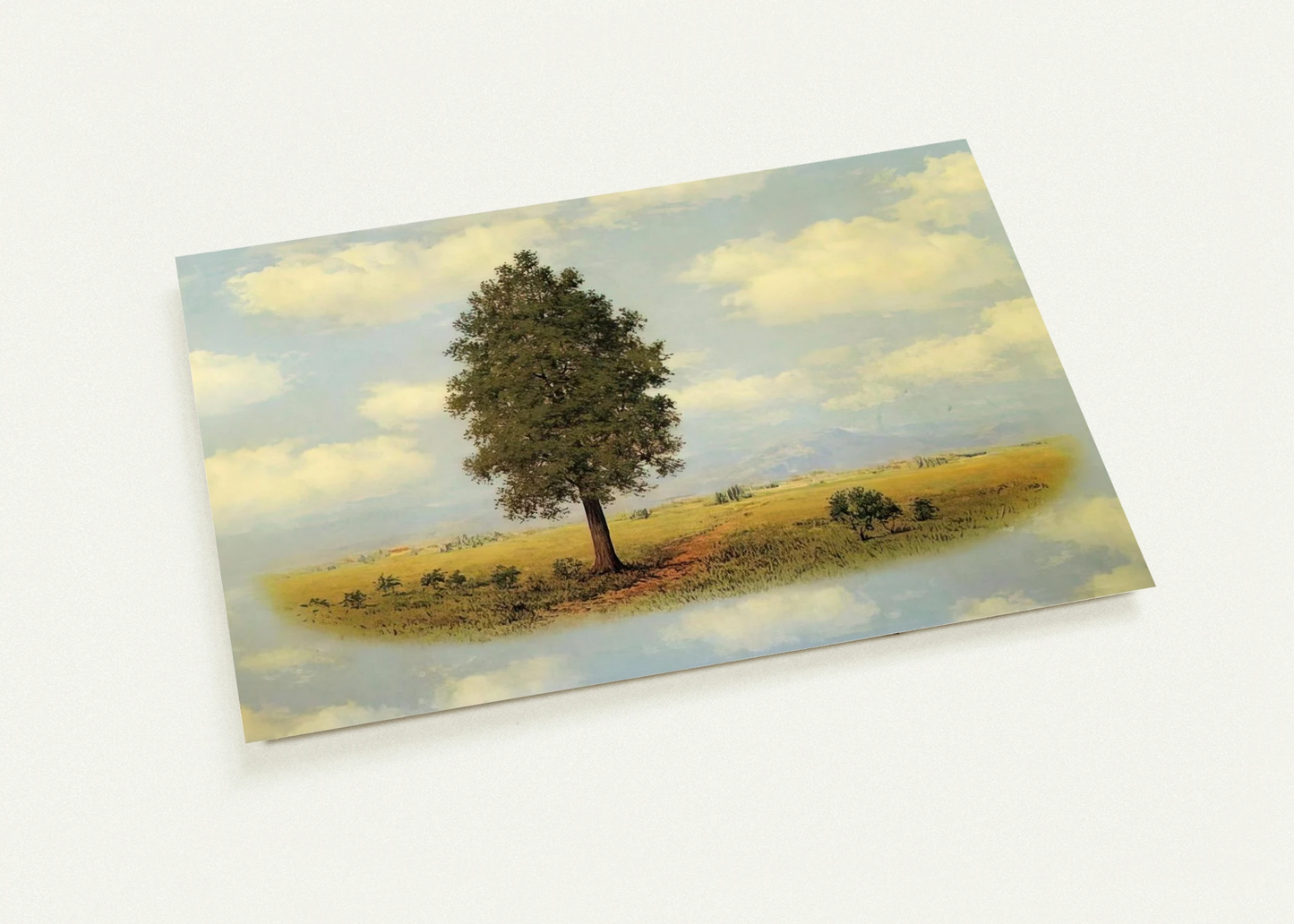 428a5054-bf61-4d31-89fd-73e97214e13e