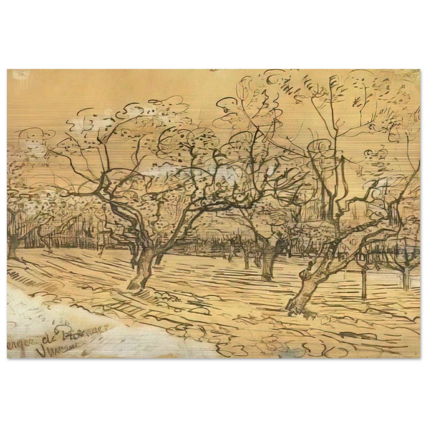 Orchard with Blossoming Plum Trees The White Orchard - Vincent van Gogh Brushed Aluminum Print - 70x100 cm / 28x40 inches | Vincent van Gogh Aluminum Print | Vincent van Gogh Prints
