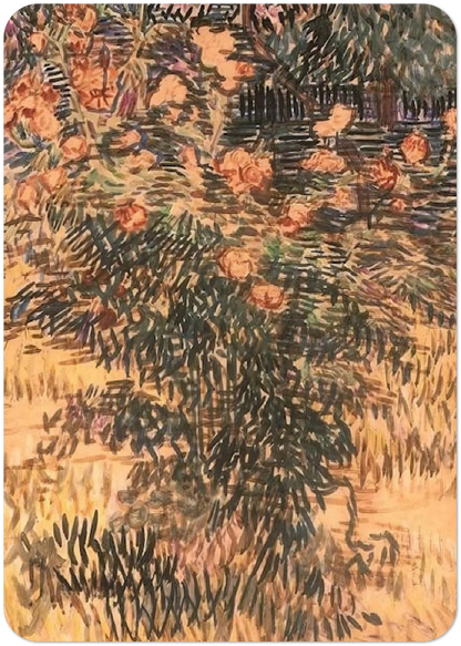 Oleanders, the Hospital Garden at Saint-Remy By Vincent van Gogh Pack of 10 Post Cards | Vincent van Gogh Post Cards | A6 (10.5 x 14.8 cm) - 4.1 x 5.8 inches