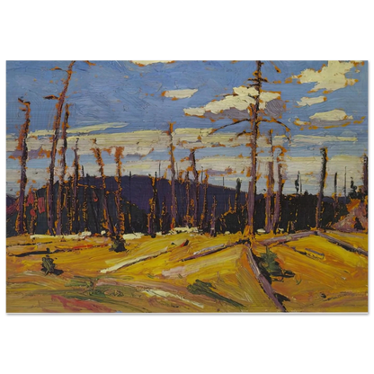 BURNT OVER FOREST 1916 - Tom Thomson Brushed Aluminum Print - 70x100 cm / 28x40 inches | Tom Thomson Aluminum Print | Tom Thomson Prints