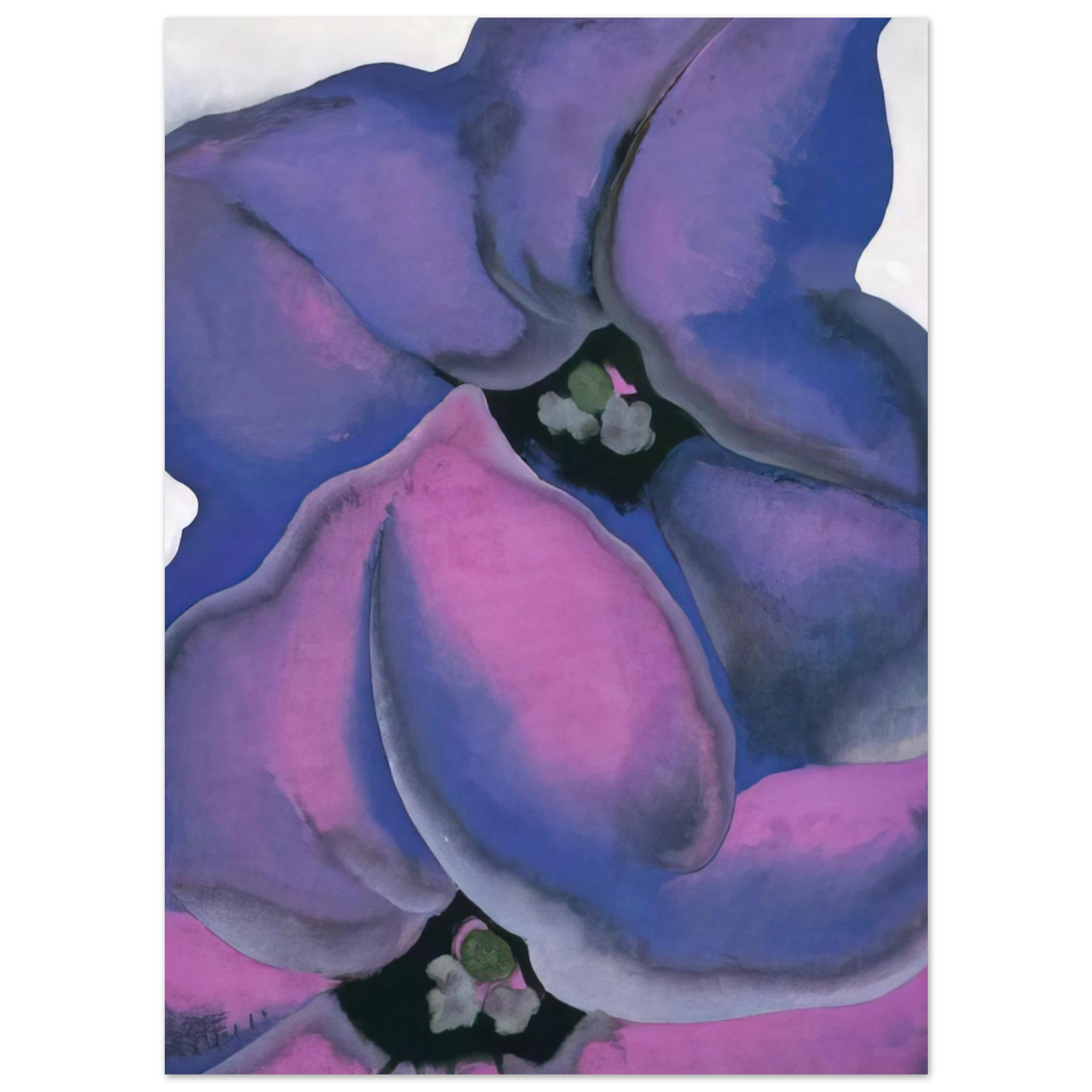 Georgia O'Keeffe - Purple Petunias Fine Art Poster