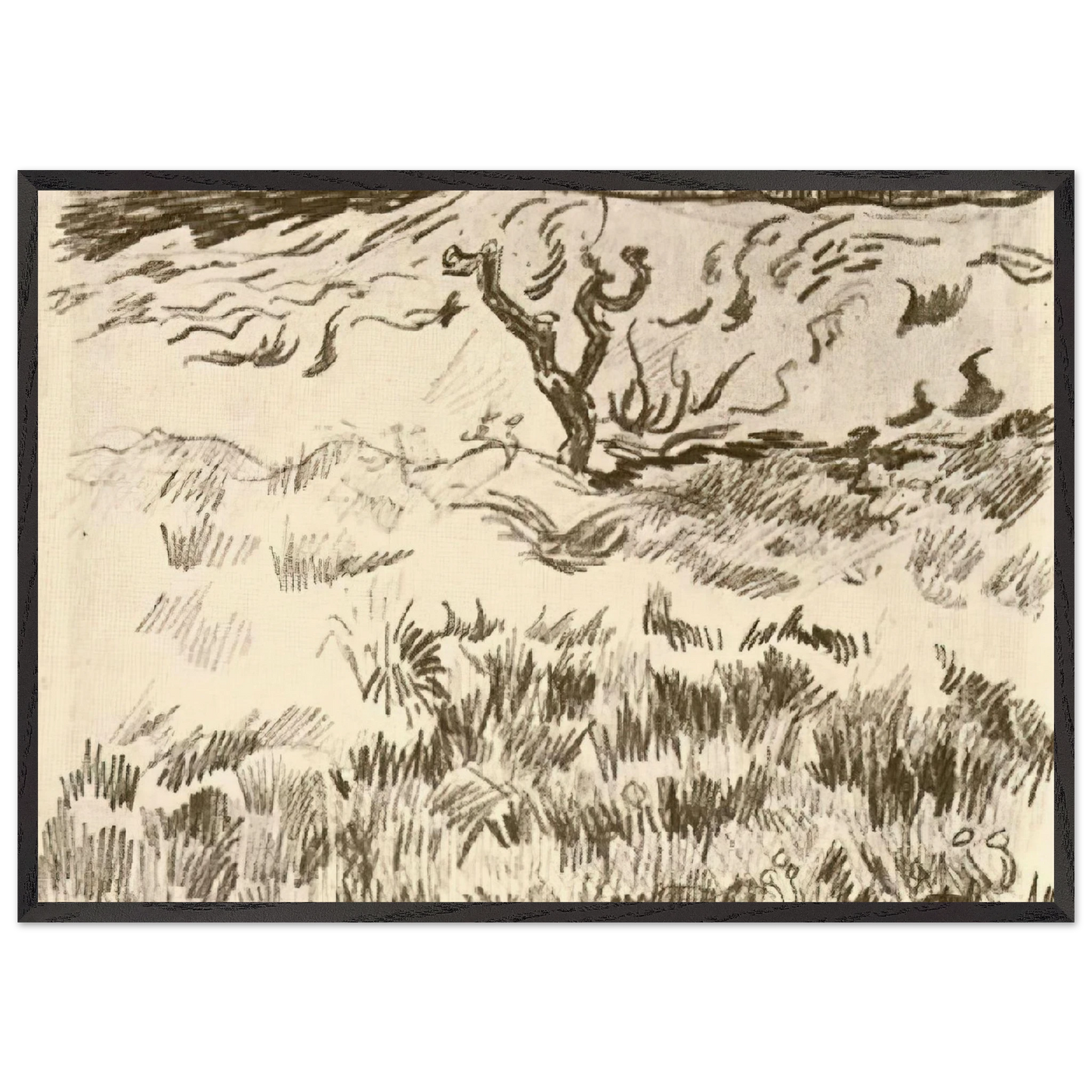 Field with Bare Tree - Vincent van Gogh 70x100 cm / 28x40 inches Framed Art Print – Black Wooden Frame