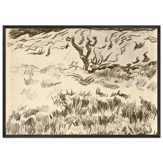 Field with Bare Tree - Vincent van Gogh 70x100 cm / 28x40 inches Framed Art Print – Black Wooden Frame