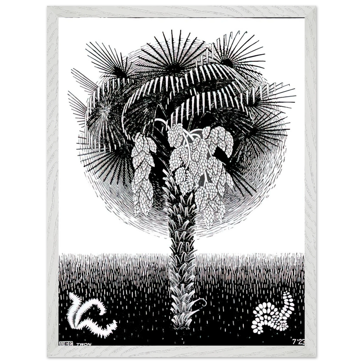 MC Escher - PALM TREE Wall Art - 30x40 cm / 12x16 inches - Fine Art Poster - -