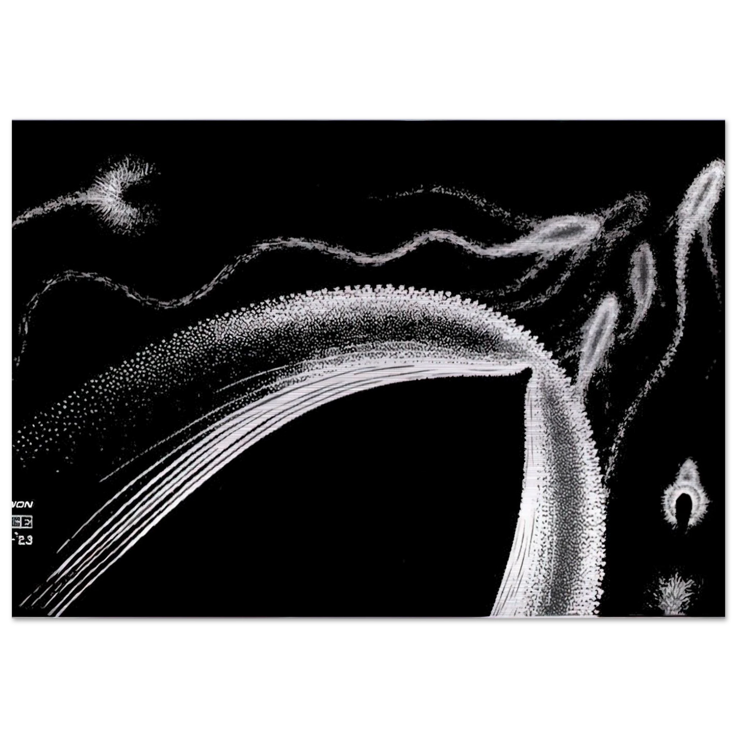 DOLPHINS - MC Escher Brushed Aluminum Print - 70x100 cm / 28x40 inches | MC Escher Aluminum Print | MC Escher Prints