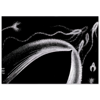 DOLPHINS - MC Escher Brushed Aluminum Print - 70x100 cm / 28x40 inches | MC Escher Aluminum Print | MC Escher Prints