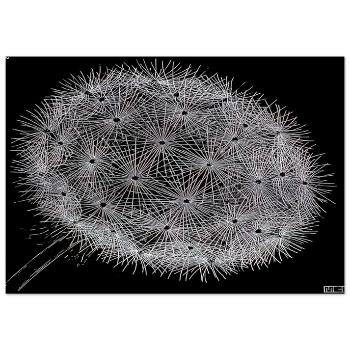 BLOWBALL II - MC Escher Brushed Aluminum Print - 70x100 cm / 28x40 inches | MC Escher Aluminum Print | MC Escher Prints | Maurits Cornelis Escher Prints