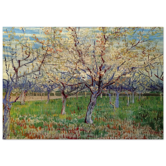 Orchard with Blossoming Apricot Trees - Vincent van Gogh Brushed Aluminum Print - 70x100 cm / 28x40 inches | Vincent van Gogh Aluminum Print | Vincent van Gogh Prints