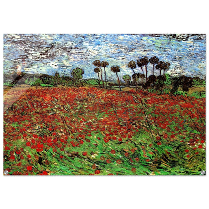 Field with Poppies - Vincent van Gogh Acrylic Print - 70x100 cm / 28x40″ inches