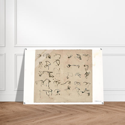 Forgery - 2008 - Brice Marden Acrylic Print - 70x100 cm / 28x40″ inches