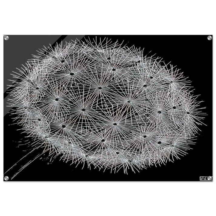 BLOWBALL II - MC Escher Acrylic Print - 70x100 cm / 28x40″ inches | Maurits Cornelis Escher Prints