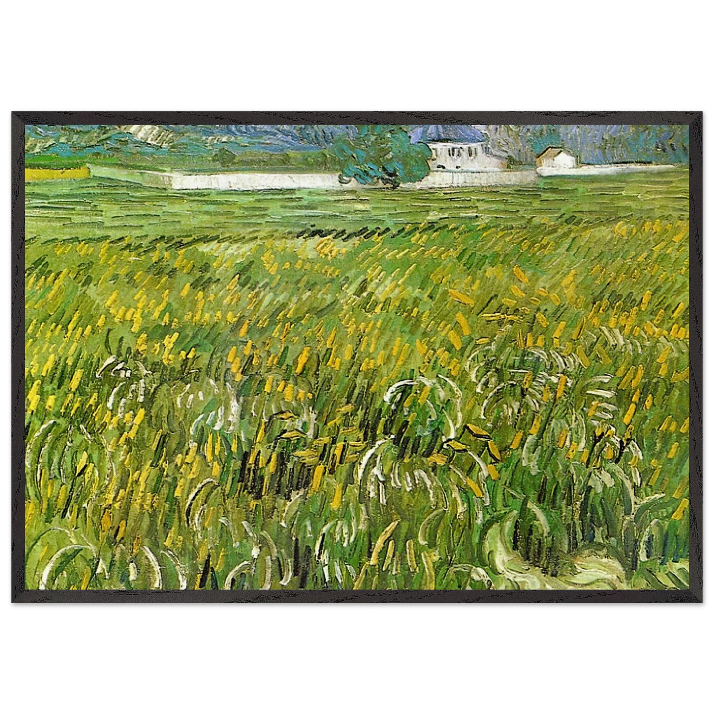 Wheat Field at Auvers with White House - Vincent van Gogh 70x100 cm / 28x40 inches Framed Art Print – Black Wooden Frame