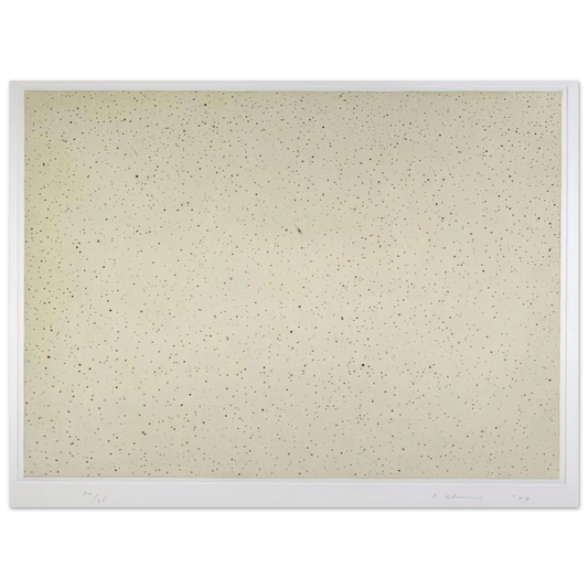 Vija Celmins - NIGHT SKY 2 REVERSED 2002  75x100 cm / 30x40inches Fine Art Poster