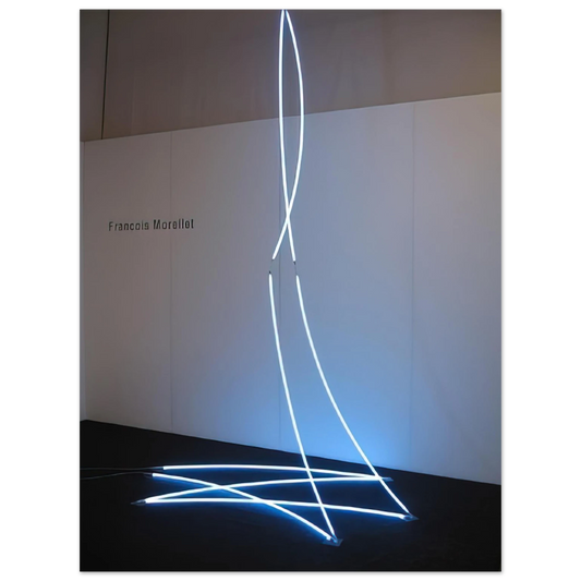 Francois Morellet - Lamentable Despicable - 2008  75x100 cm / 30x40inches Fine Art Poster