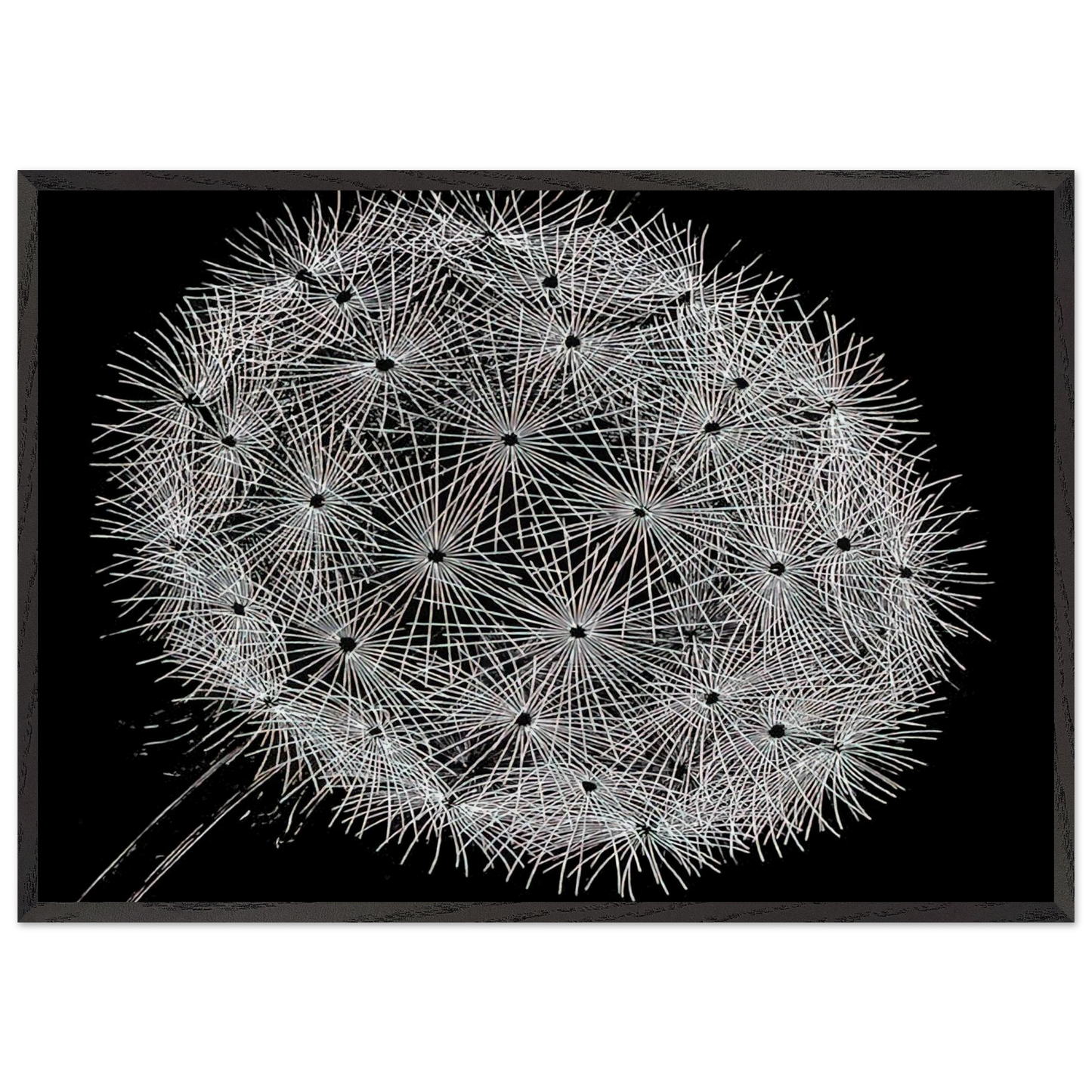 BLOWBALL II - MC Escher 70x100 cm / 28x40 inches Framed Art Print – Black Wooden Frame | Maurits Cornelis Escher Prints