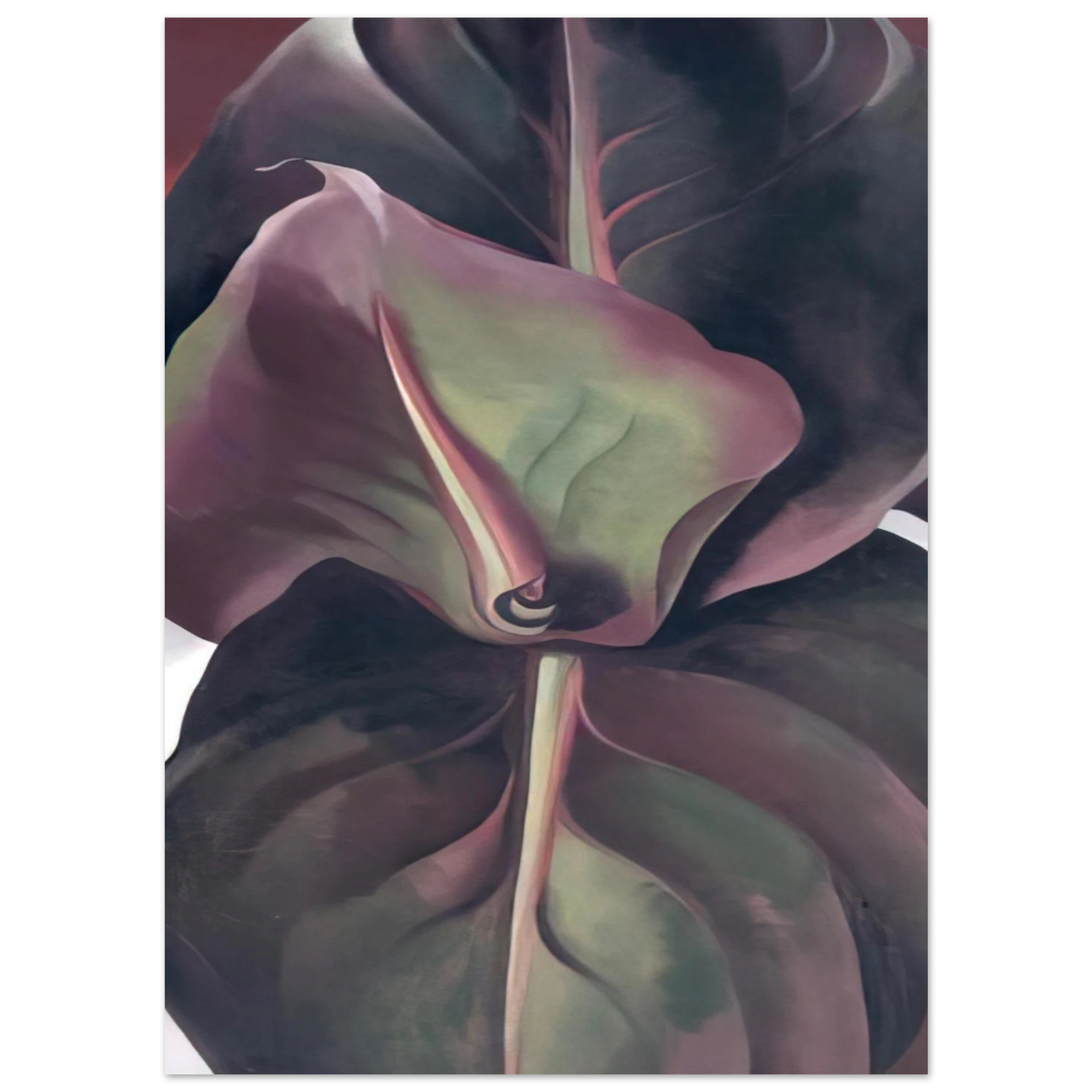 Georgia O'Keeffe - Canna Leaves Fine Art Poster