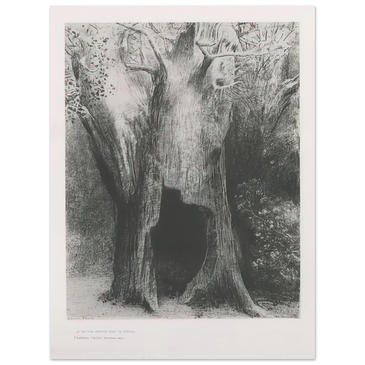 Odilon Redon - I PLUNGED INTO SOLITUDE I DWELT IN THE TREE BEHIND ME PLATE 9 1896  75x100 cm / 30x40inches Fine Art Poster