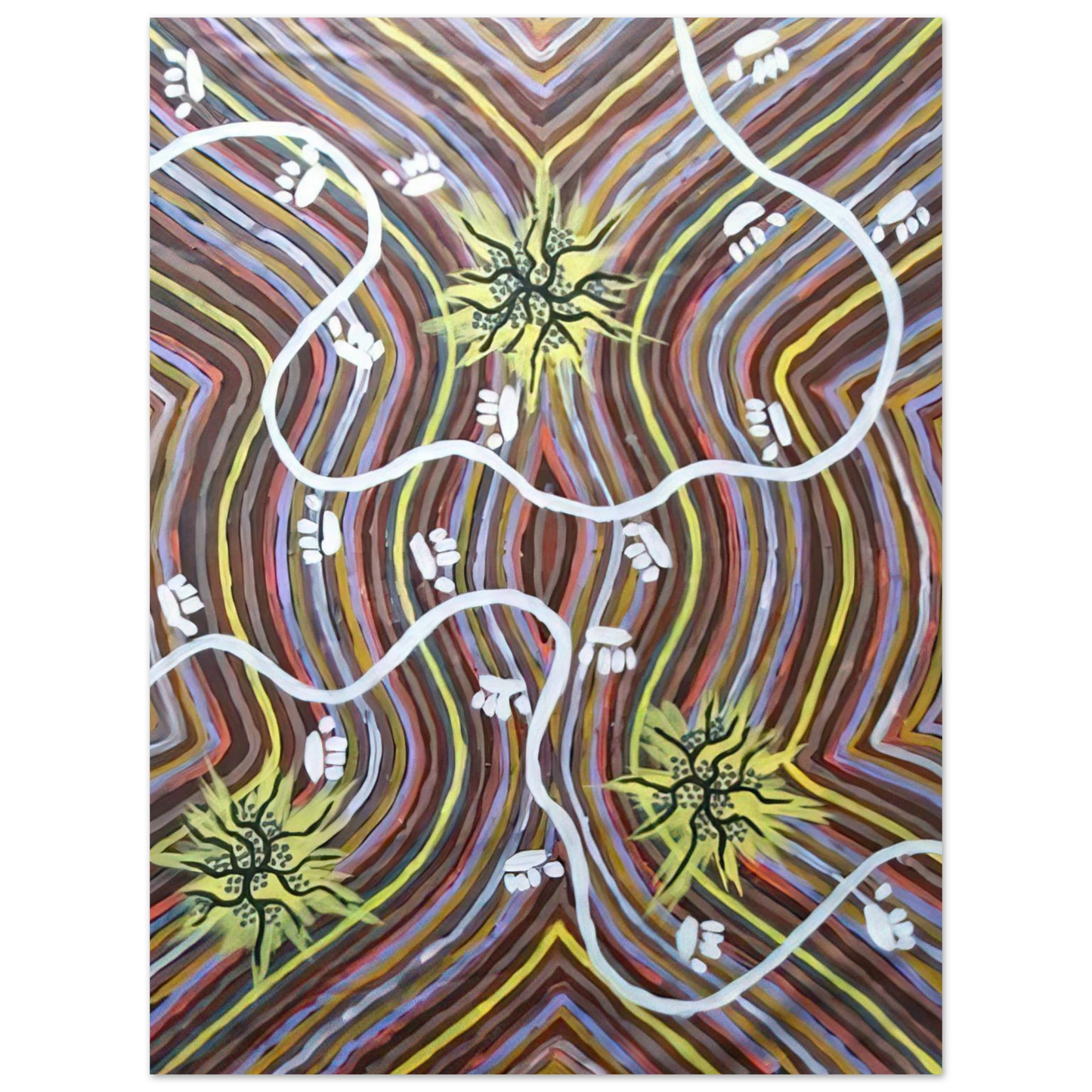 Clifford Possum Tjapaltjarri - Possum Country - 1995  75x100 cm / 30x40inches Fine Art Poster