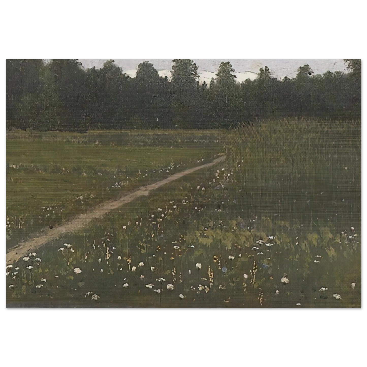 Forest Glade - Arkhyp Kuindzhi Brushed Aluminum Print - 70x100 cm / 28x40 inches | Arkhyp Kuindzhi Aluminum Print | Arkhyp Kuindzhi Prints