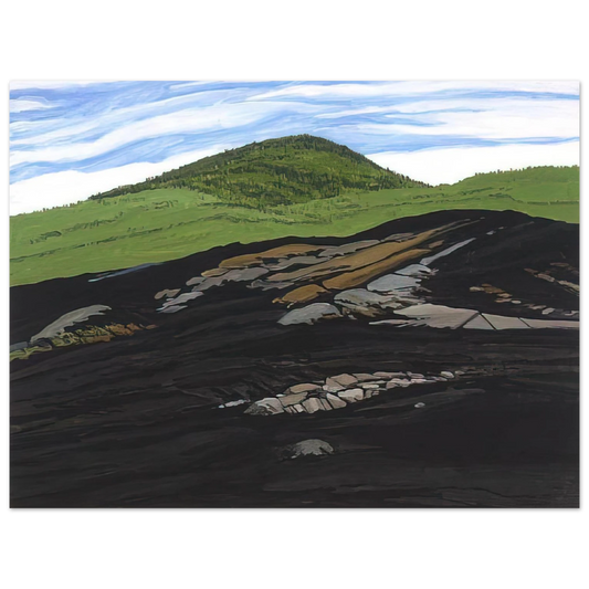 Neil Welliver - Blueberry Burn Morey's Hill - 1997  75x100 cm / 30x40inches Fine Art Poster