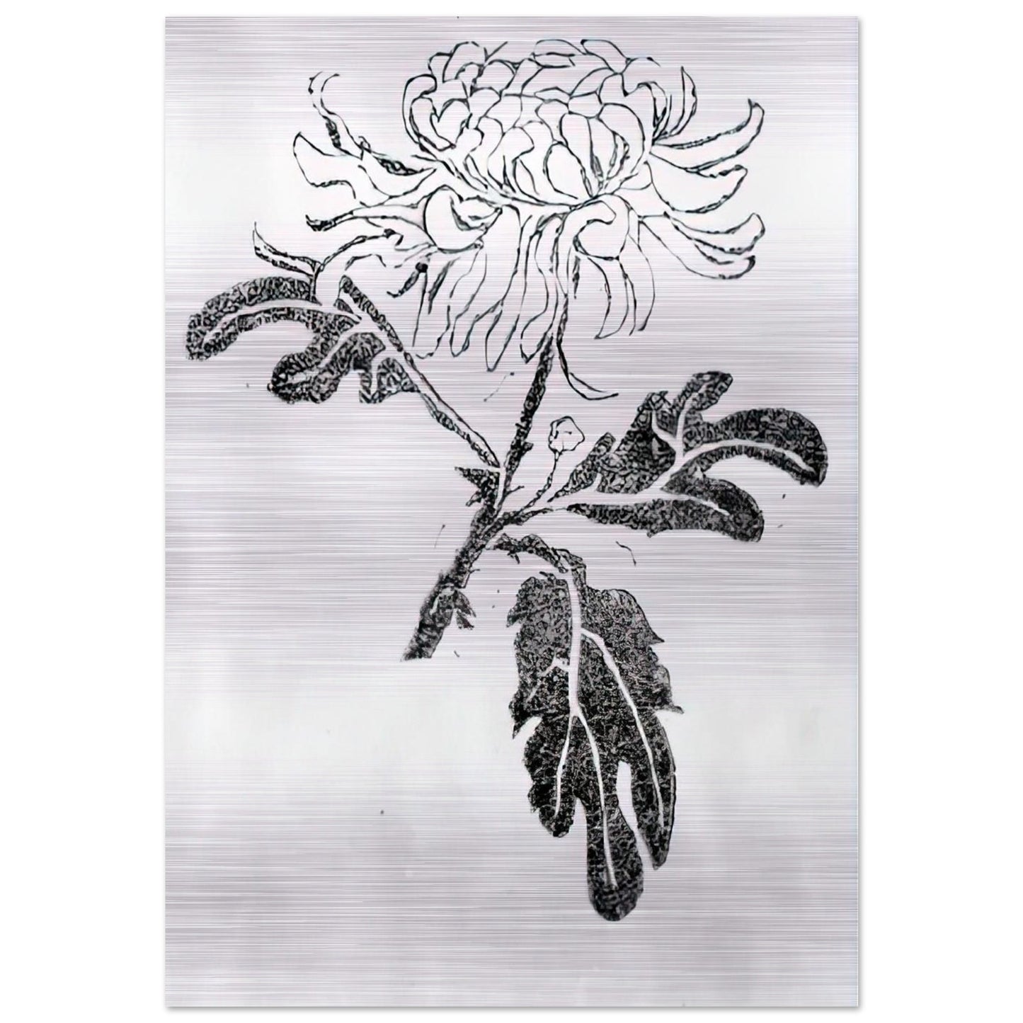 CHRYSANTHEMUM - MC Escher Brushed Aluminum Print - 70x100 cm / 28x40 inches | MC Escher Aluminum Print | MC Escher Prints | Maurits Cornelis Escher Prints