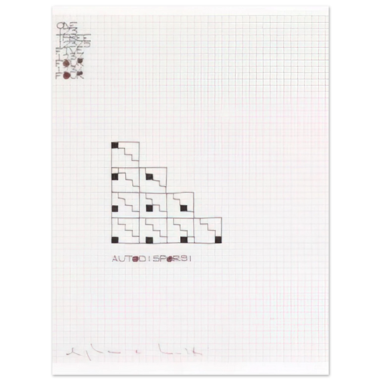 Alighiero Boetti - AUTODISPORSI 1975  75x100 cm / 30x40inches Fine Art Poster