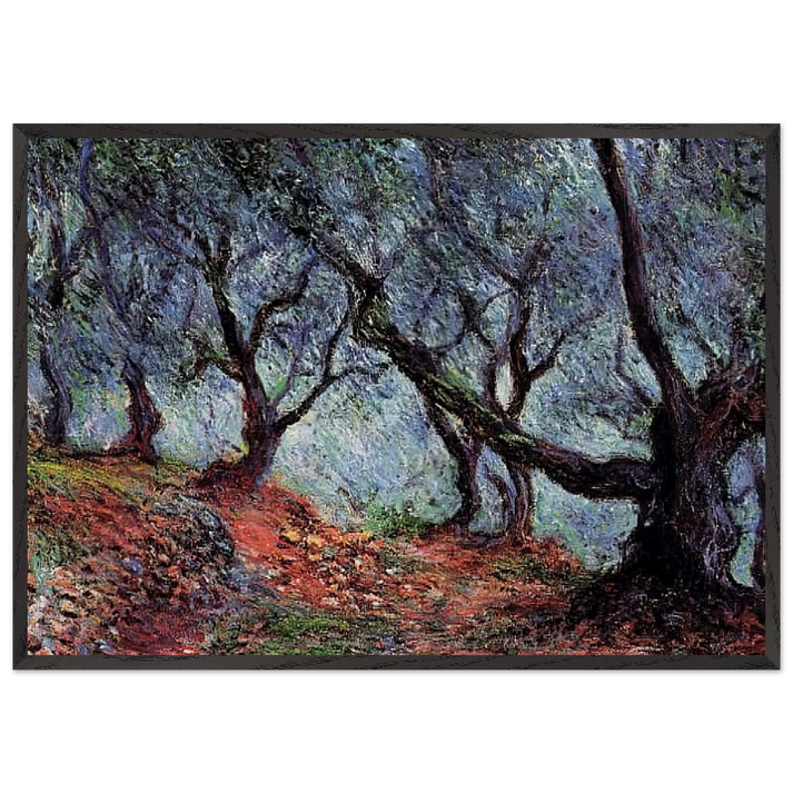 Grove of Olive Trees in Bordighera - claude monet 70x100 cm / 28x40 inches Framed Art Print – Black Wooden Frame