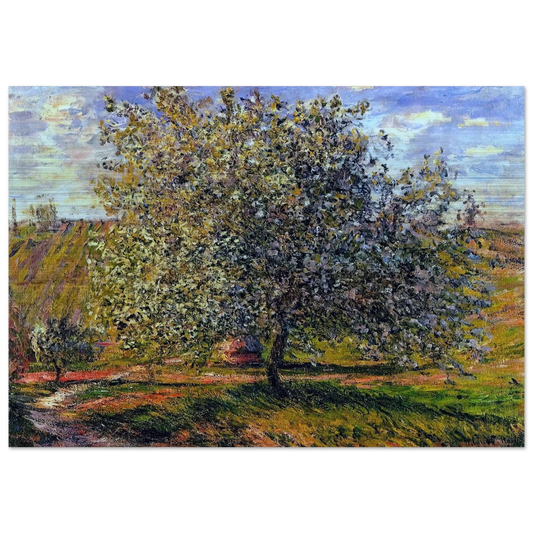 Tree in Flower near Vetheuil - claude monet Brushed Aluminum Print - 70x100 cm / 28x40 inches | claude monet Aluminum Print | claude monet Prints