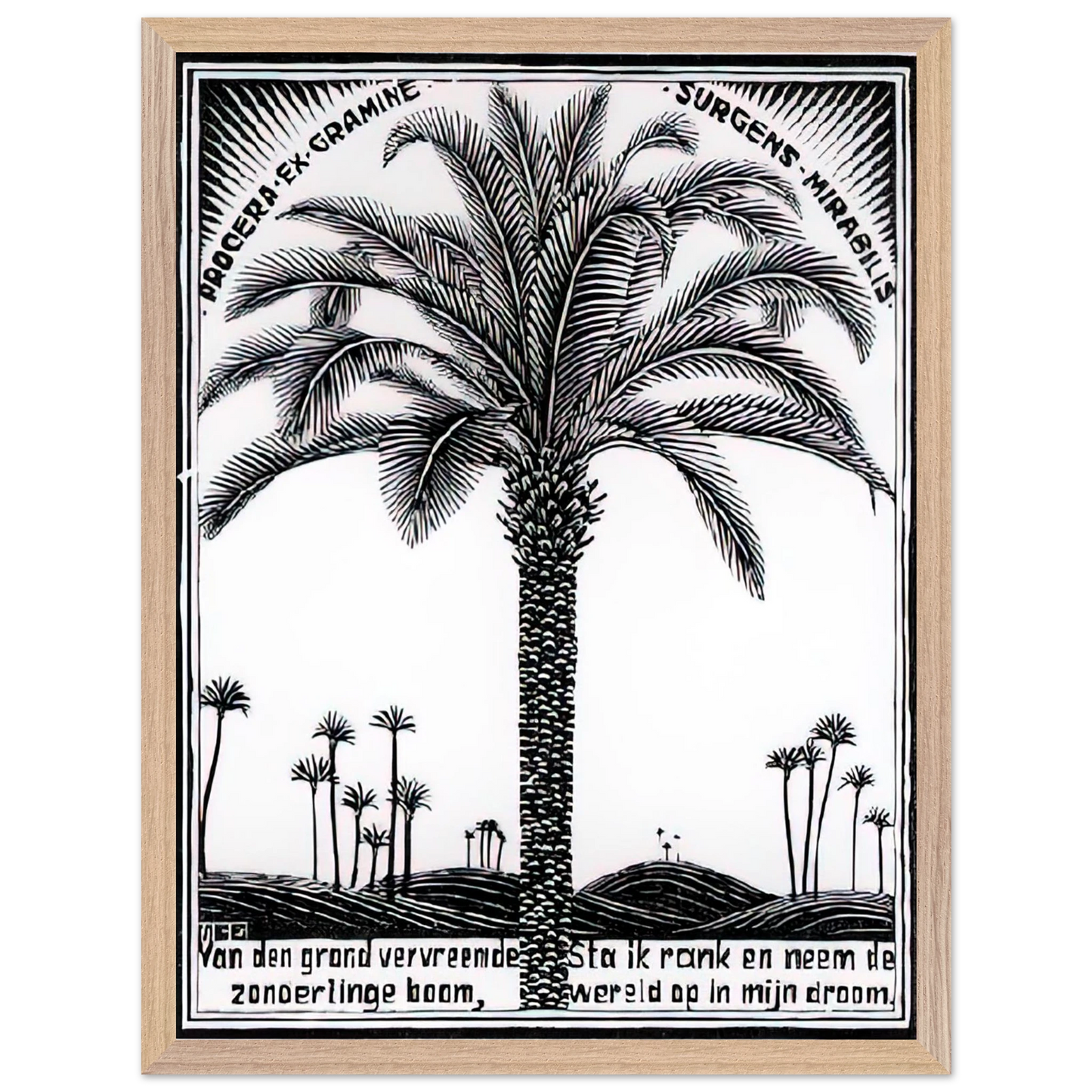 MC Escher - PALM TREE 1 Wall Art - 21x29.7 cm / 8x12" - Premium Wooden Framed Poster With Fine Art Paper-canvas - Wood frame