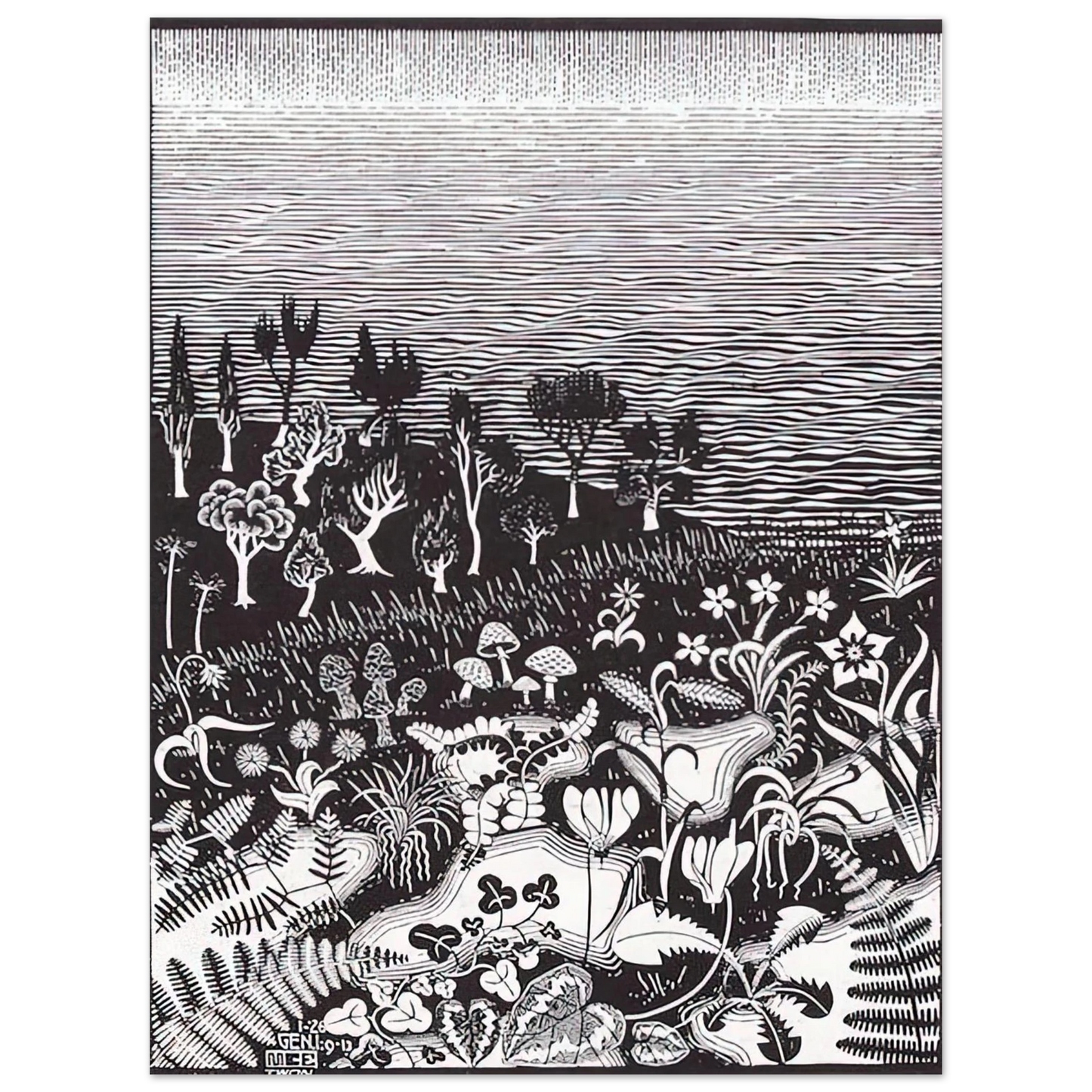 MC Escher - THE 3RD DAY OF THE CREATION Wall Art - 21x29.7 cm / 8x12" - Premium Wooden Framed Poster With Fine Art Paper-canvas - White frame