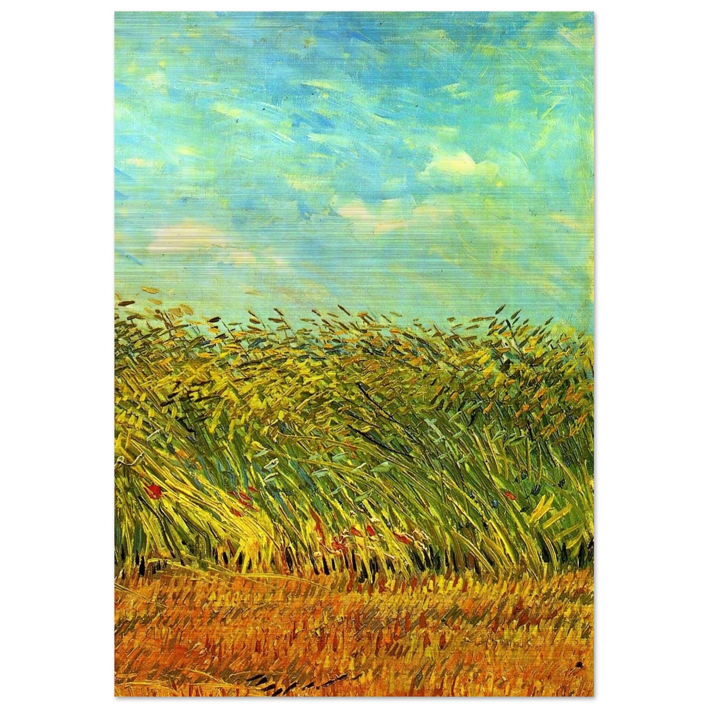 Wheat Field with a Lark - Vincent van Gogh Brushed Aluminum Print - 70x100 cm / 28x40 inches | Vincent van Gogh Aluminum Print | Vincent van Gogh Prints