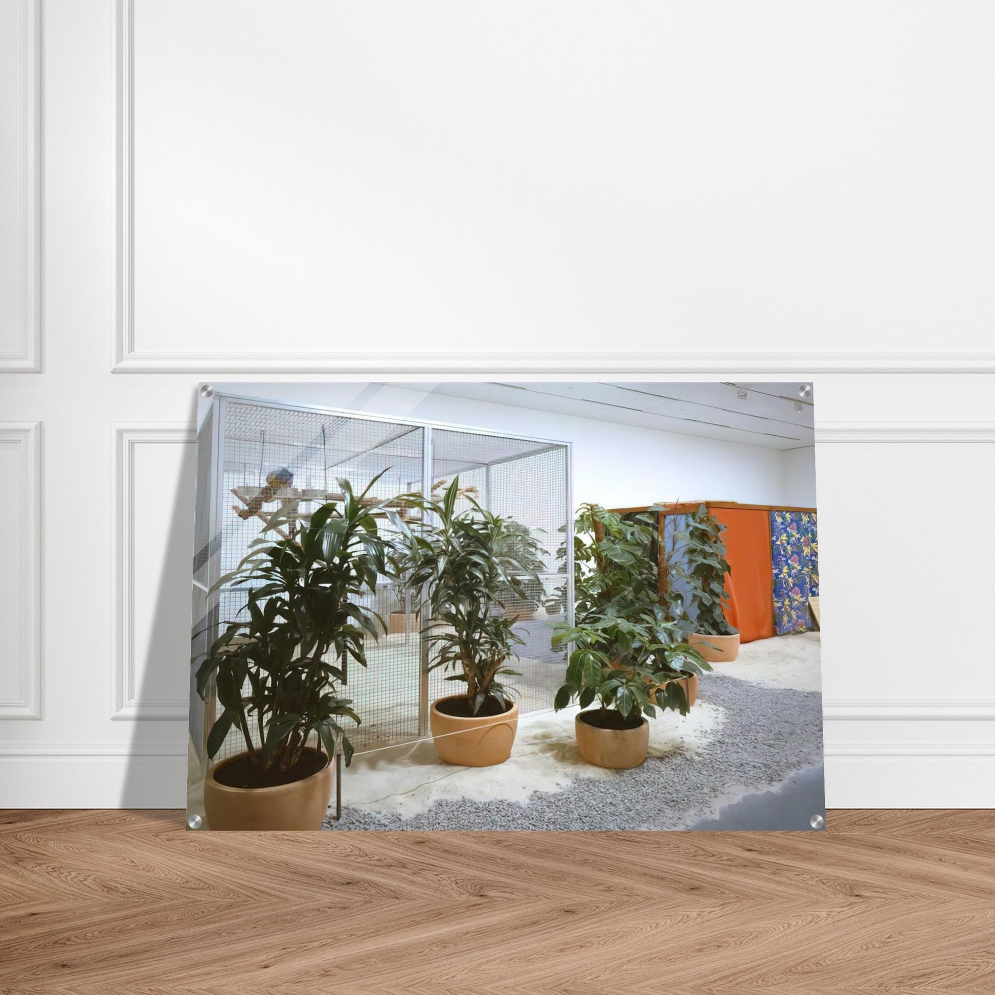 Tropicália, Penetrables PN 2 'Purity is a myth' and PN 3 'Imagetical' - Helio Oiticica Acrylic Print - 70x100 cm / 28x40″ inches