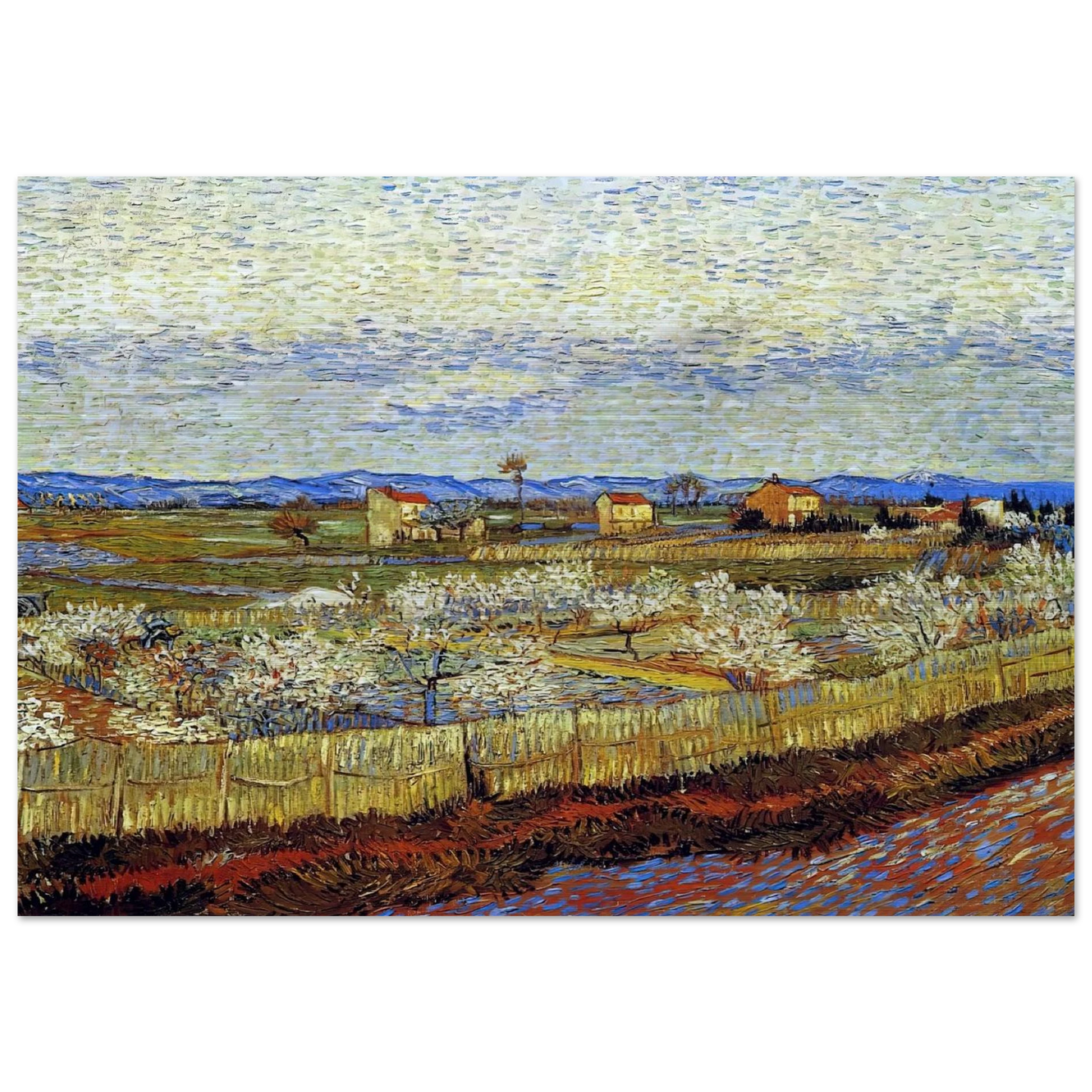 Peach Trees in Blossom - Vincent van Gogh Brushed Aluminum Print - 70x100 cm / 28x40 inches | Vincent van Gogh Aluminum Print | Vincent van Gogh Prints