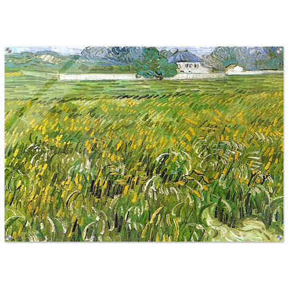 Wheat Field at Auvers with White House - Vincent van Gogh Acrylic Print - 70x100 cm / 28x40″ inches