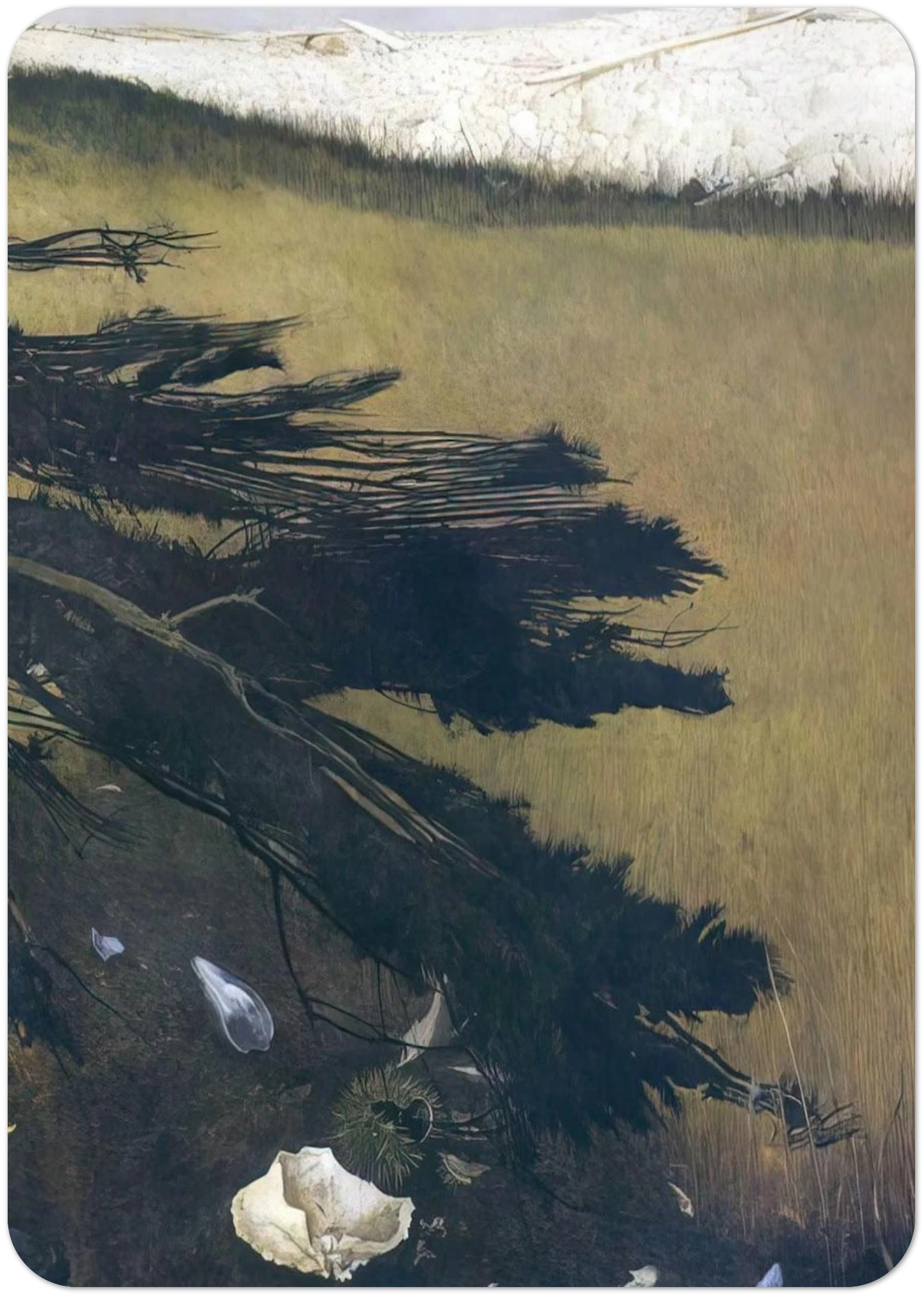 NOT DETECTED 47 By Andrew Wyeth Pack of 10 Post Cards | Andrew Wyeth Post Cards | A6 (10.5 x 14.8 cm) - 4.1 x 5.8 inches