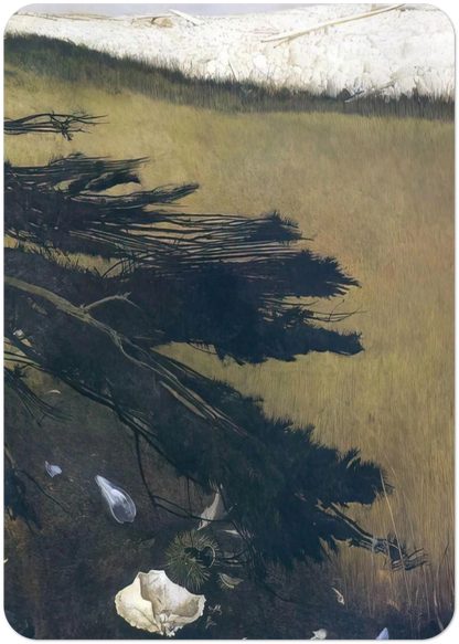 NOT DETECTED 47 By Andrew Wyeth Pack of 10 Post Cards | Andrew Wyeth Post Cards | A6 (10.5 x 14.8 cm) - 4.1 x 5.8 inches