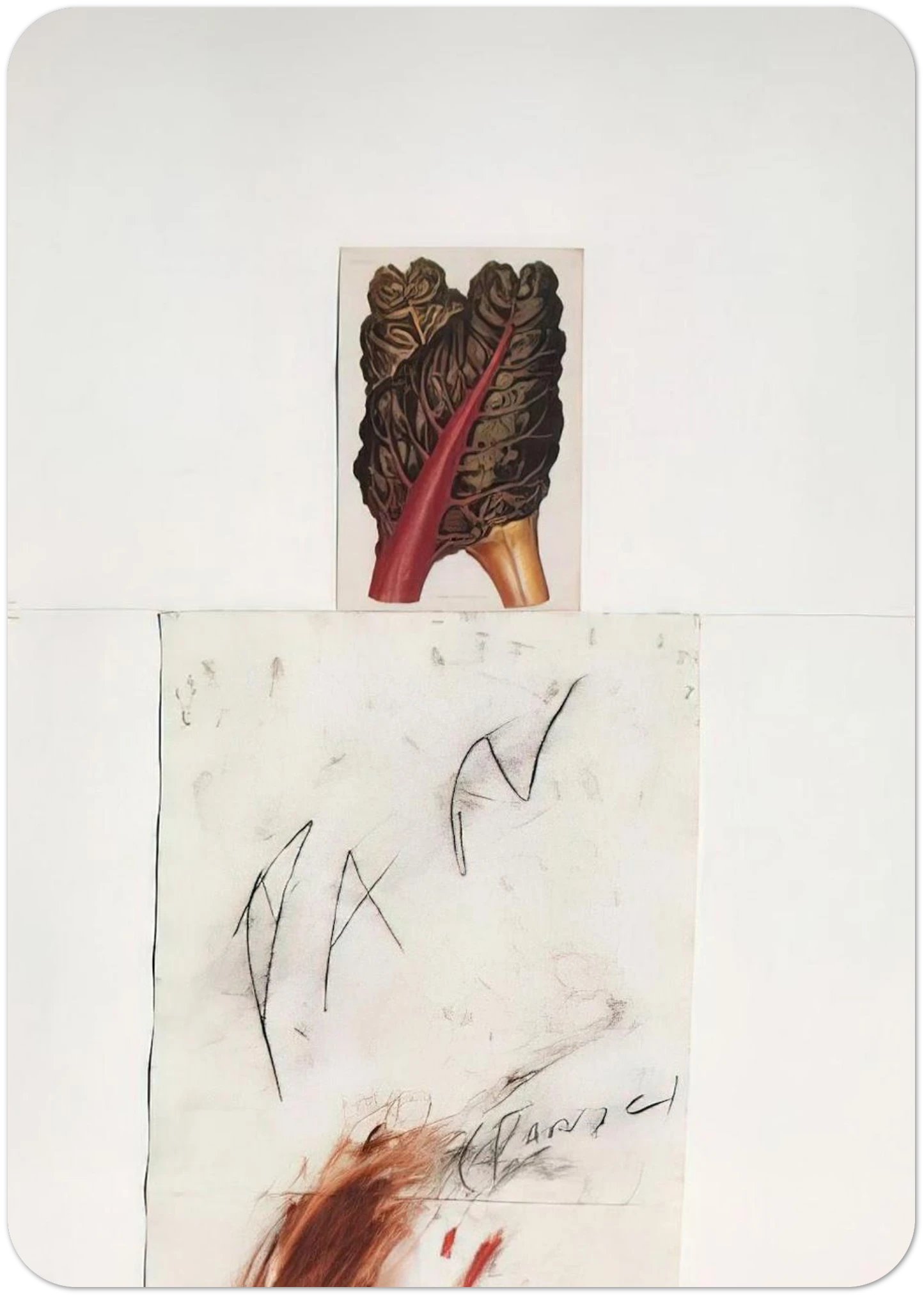 Pan By Cy Twombly Pack of 10 Post Cards | Cy Twombly Post Cards | A6 (10.5 x 14.8 cm) - 4.1 x 5.8 inches