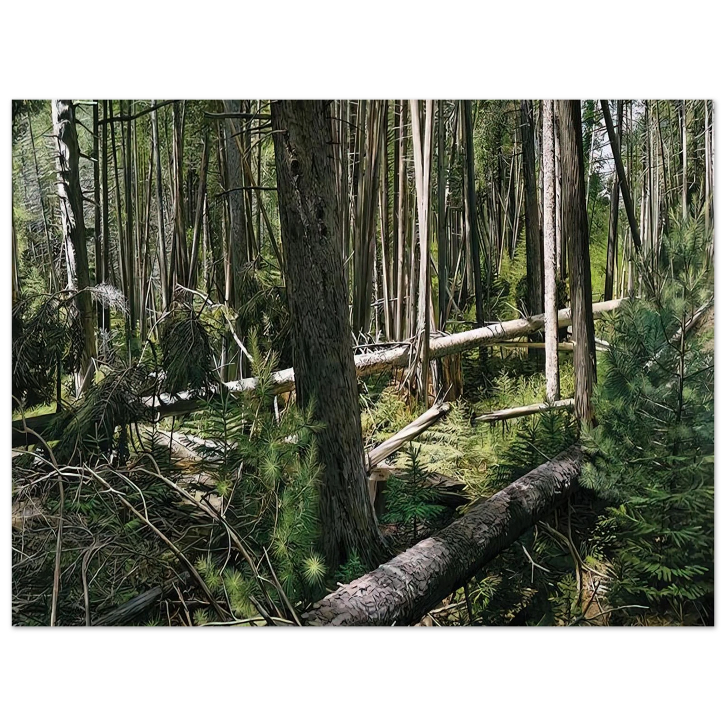 Richard Estes - NEAR HUNTERS BEACH ACADIA NATIONAL PARK 2008  75x100 cm / 30x40inches Fine Art Poster