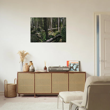 NEAR HUNTERS BEACH ACADIA NATIONAL PARK 2008 - Richard Estes Brushed Aluminum Print - 70x100 cm / 28x40 inches | Richard Estes Aluminum Print | Richard Estes Prints