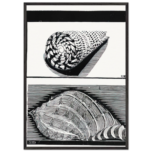 SEA SHELLS - MC Escher 70x100 cm / 28x40 inches Framed Art Print – Black Wooden Frame | Maurits Cornelis Escher Prints