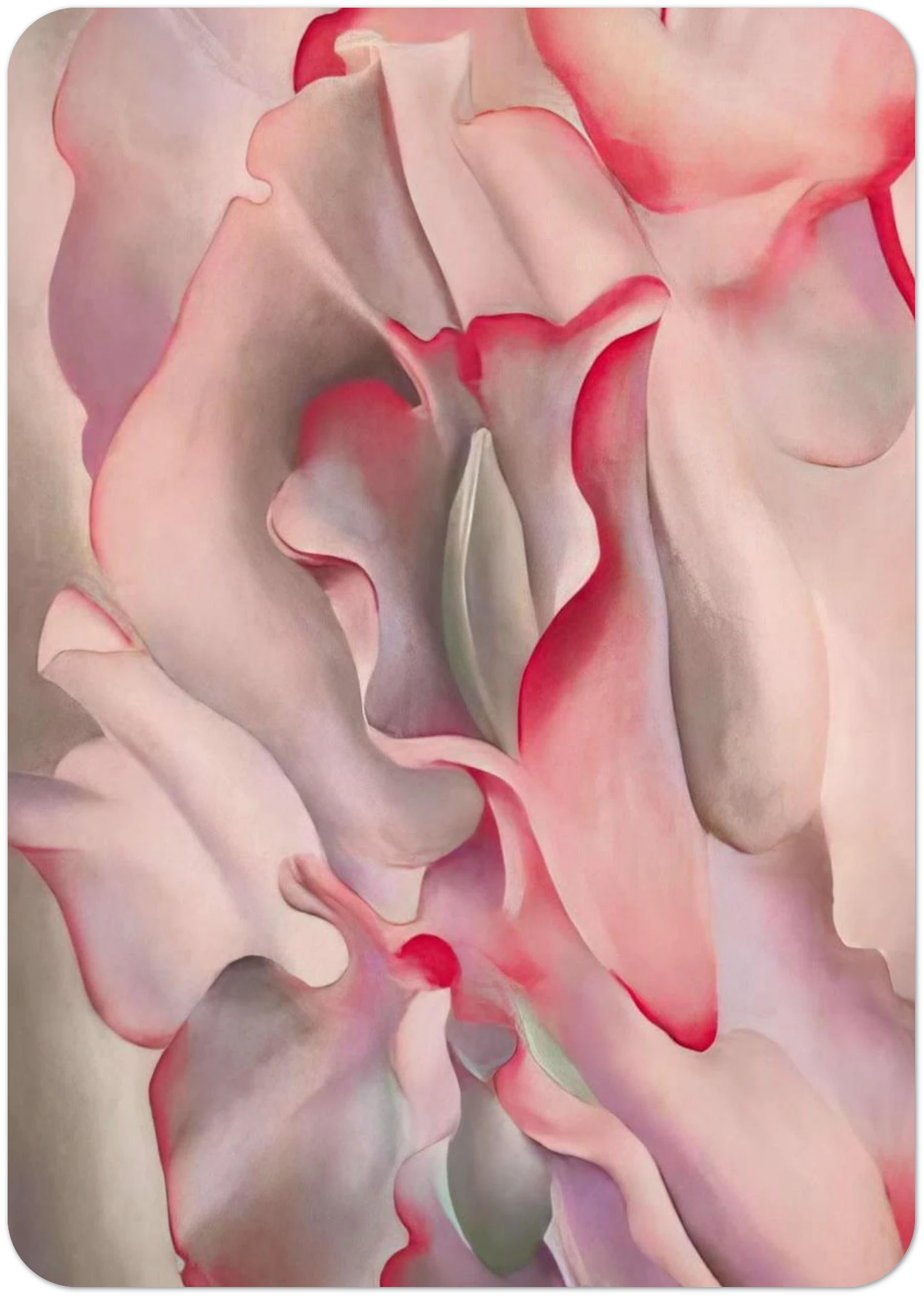 Pink Sweet Peas 2 By Georgia O'Keeffe Pack of 10 Post Cards | Georgia O'Keeffe Post Cards | A6 (10.5 x 14.8 cm) - 4.1 x 5.8 inches