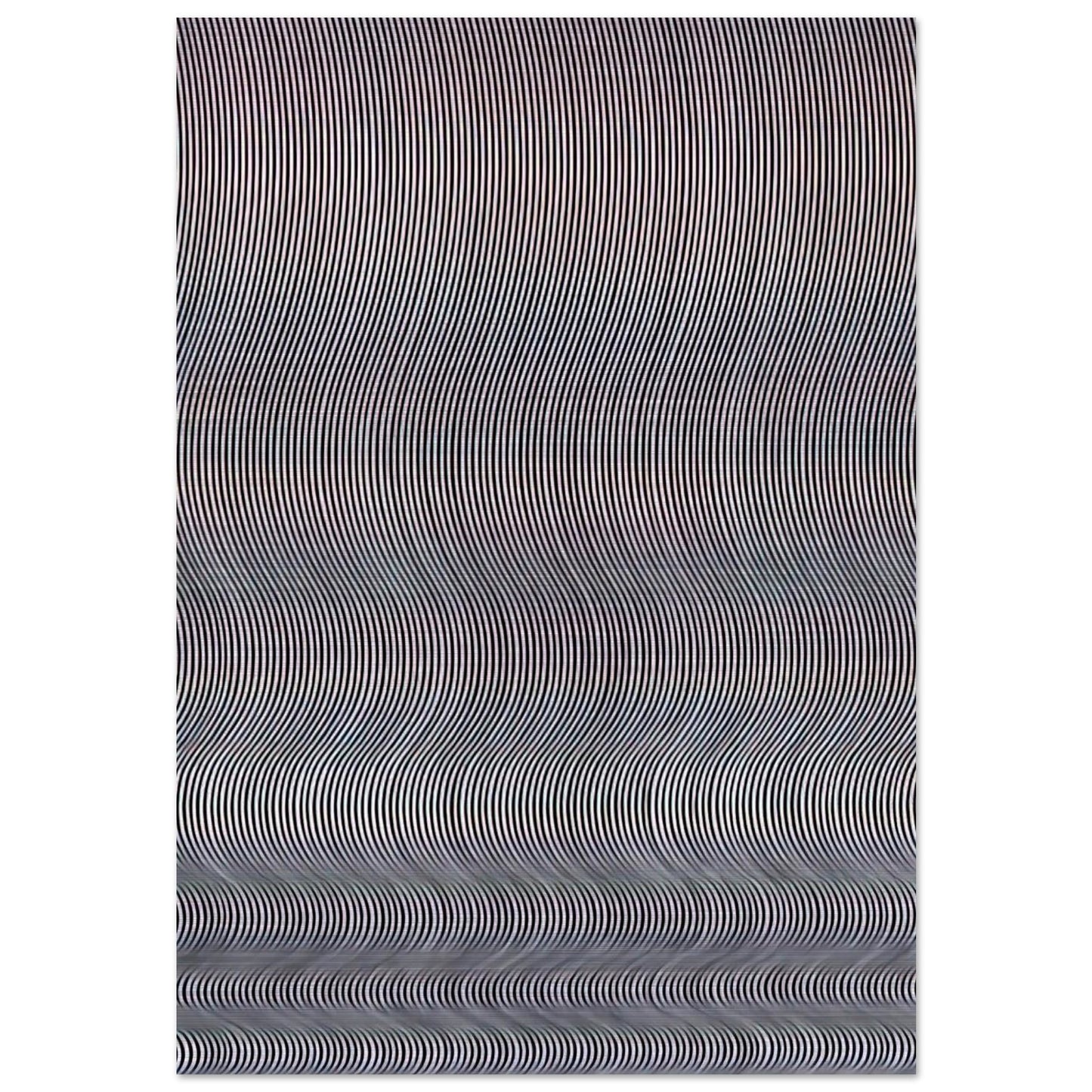 FALL 1963 - Bridget Riley Brushed Aluminum Print - 70x100 cm / 28x40 inches | Bridget Riley Aluminum Print | Bridget Riley Prints