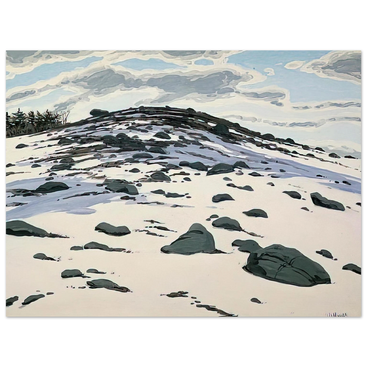 Neil Welliver - Shadow on Frankfort Barren - 1982  75x100 cm / 30x40inches Fine Art Poster