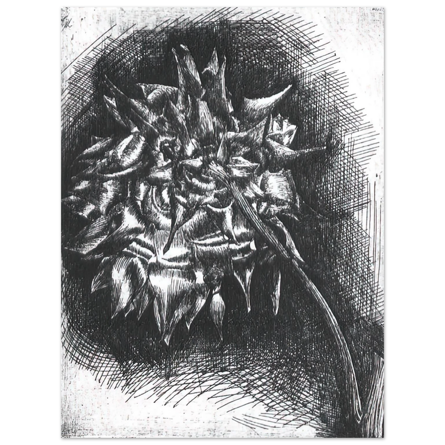 MC Escher - FLOWER Wall Art - 21x29.7 cm / 8x12" - Fine Art Poster - -