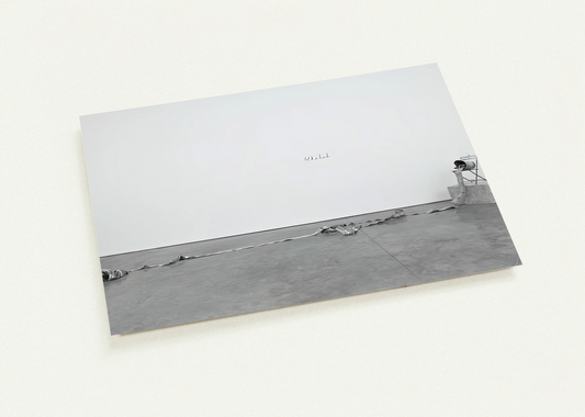 ALKAHEST 2009 By Anselm Kiefer Pack of 10 Post Cards | Anselm Kiefer Post Cards | A6 (10.5 x 14.8 cm) - 4.1 x 5.8 inches