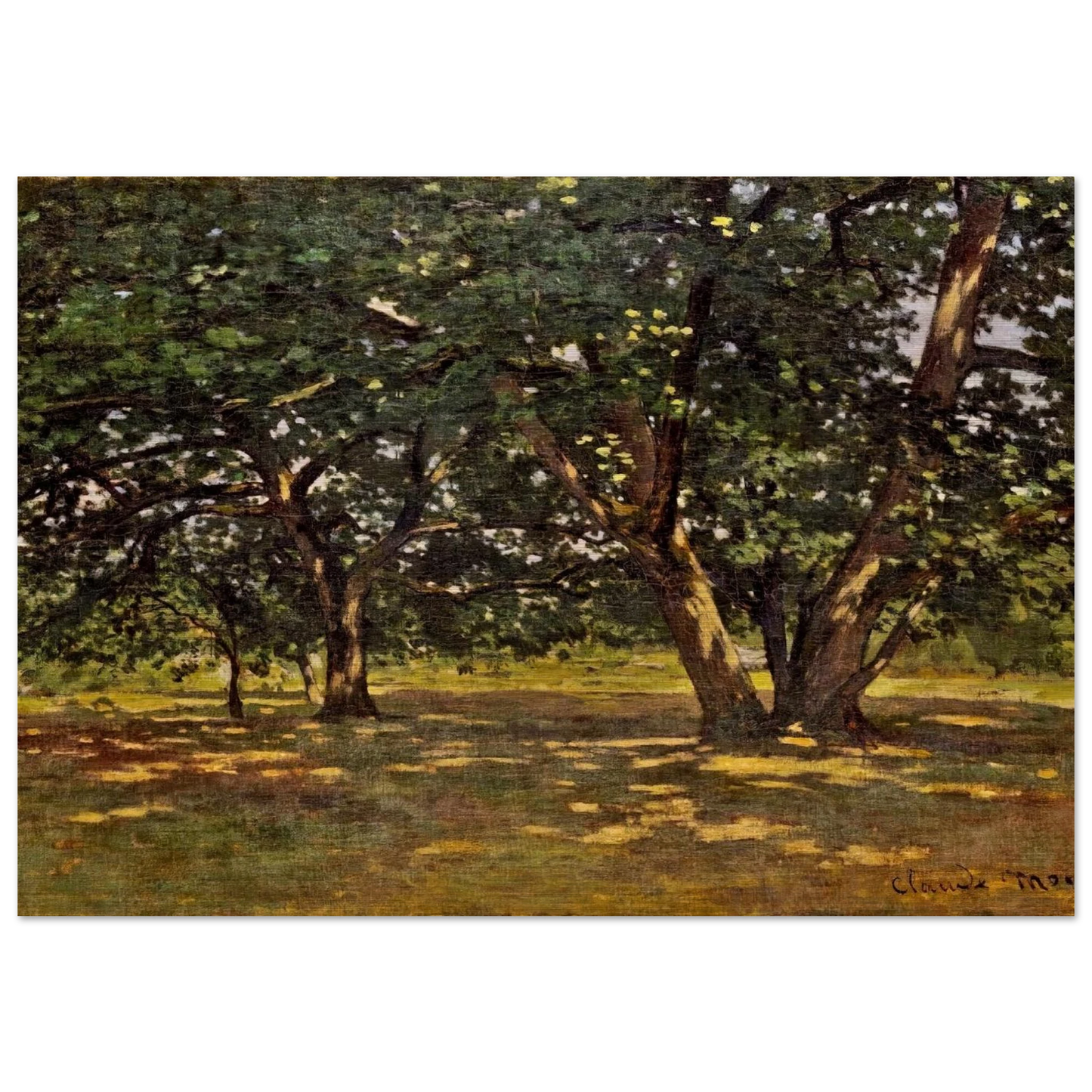 Fontainebleau Forest - claude monet Brushed Aluminum Print - 70x100 cm / 28x40 inches | claude monet Aluminum Print | claude monet Prints