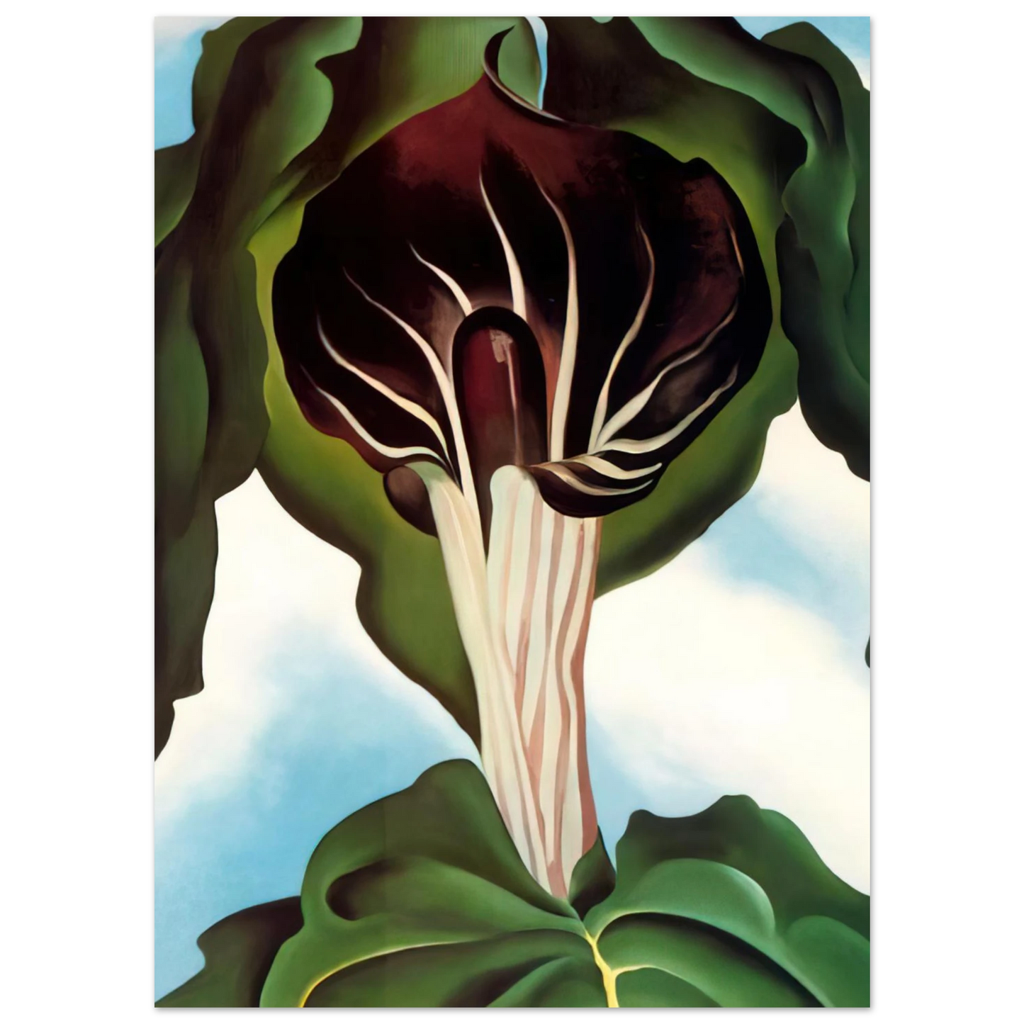 Georgia O'Keeffe - Jack-in-the-Pulpit III Fine Art Poster