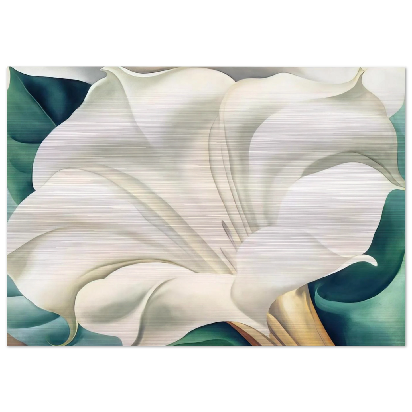 Jimson Weed 2 - Georgia O'Keeffe Brushed Aluminum Print - 70x100 cm / 28x40 inches | Georgia O'Keeffe Aluminum Print | Georgia O'Keeffe Prints